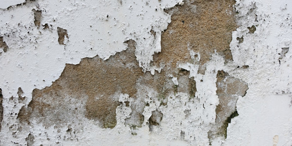 Pintar Fachadas de Empresas / Negocios / Locales Comerciales Monóvar · Pintura Antihumedad / Antimoho para Humedades / Moho